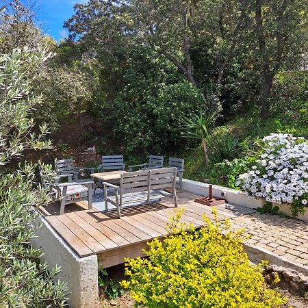 הייר Villa K Presqu Ile De Giens מראה חיצוני תמונה